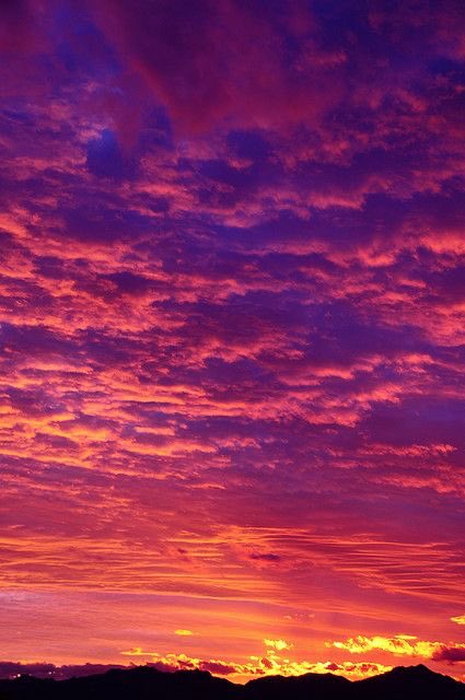 violettweets_'s tweet photo. sunset thread; drop a sunset pic from your gallery. https://t.co/CMjAcOvG82
