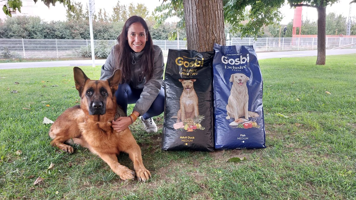 Aiko ya está disfrutando de su pienso #Gosbi hecho a partir de ingredientes naturales de la más alta calidad 🤤 #Excusive #ExclusiveGrainFree