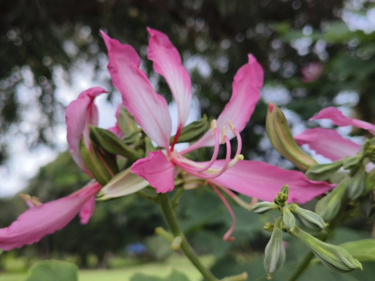 สวยงาม ตามที่เห็นครับ