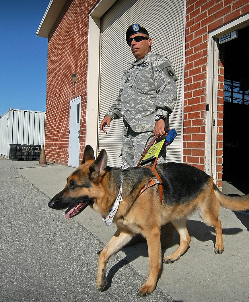 SeeingEyeInc's tweet photo. A special thank you to all the incredible veterans who served our country.
We are proud to say that since 1934, veterans have been charged only $1 to receive a Seeing Eye dog.
#TheSeeingEye #SeeingEye #SeeingEyeDog #VeteransDay https://t.co/9iRzf23Dh8