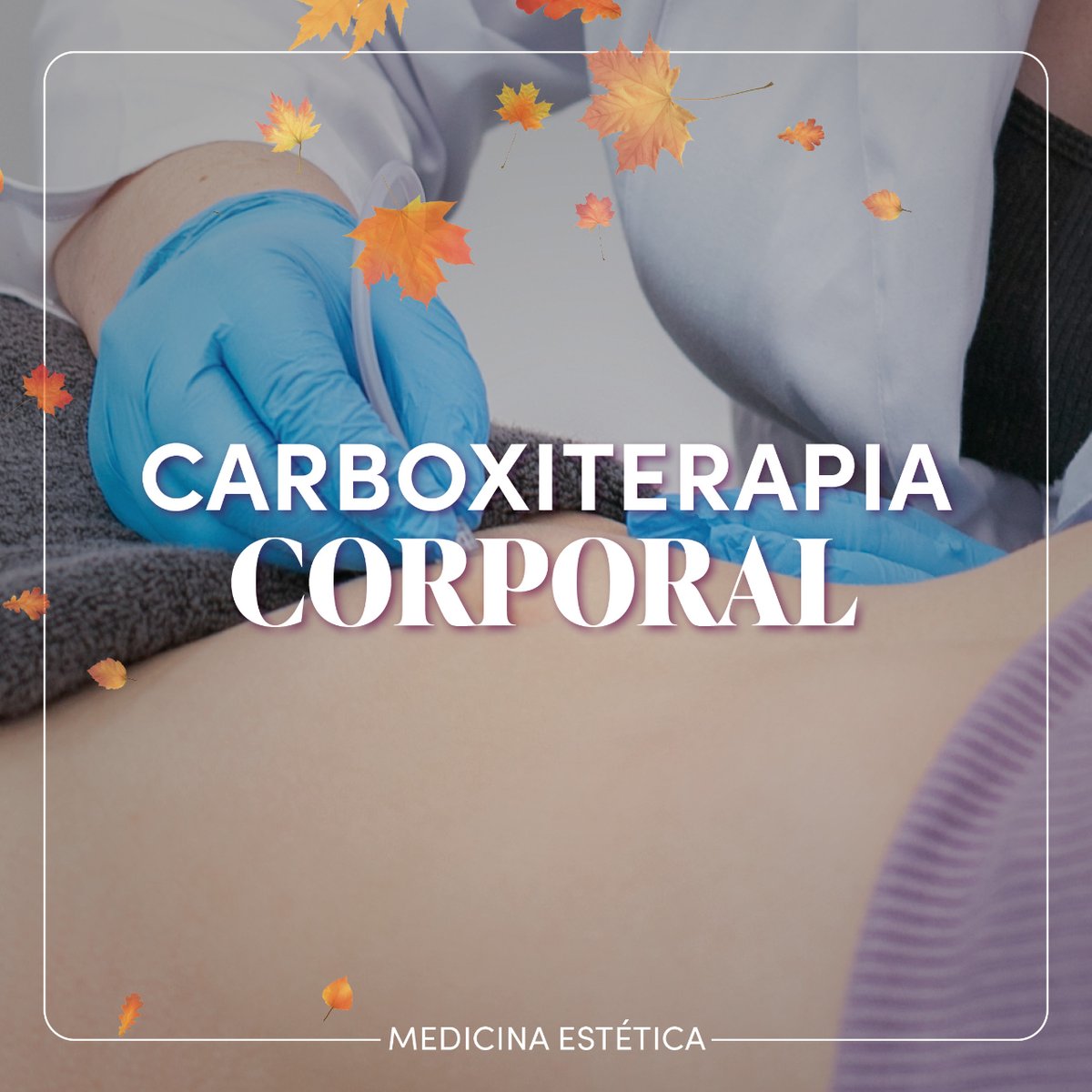 Centros Ideal tweet media