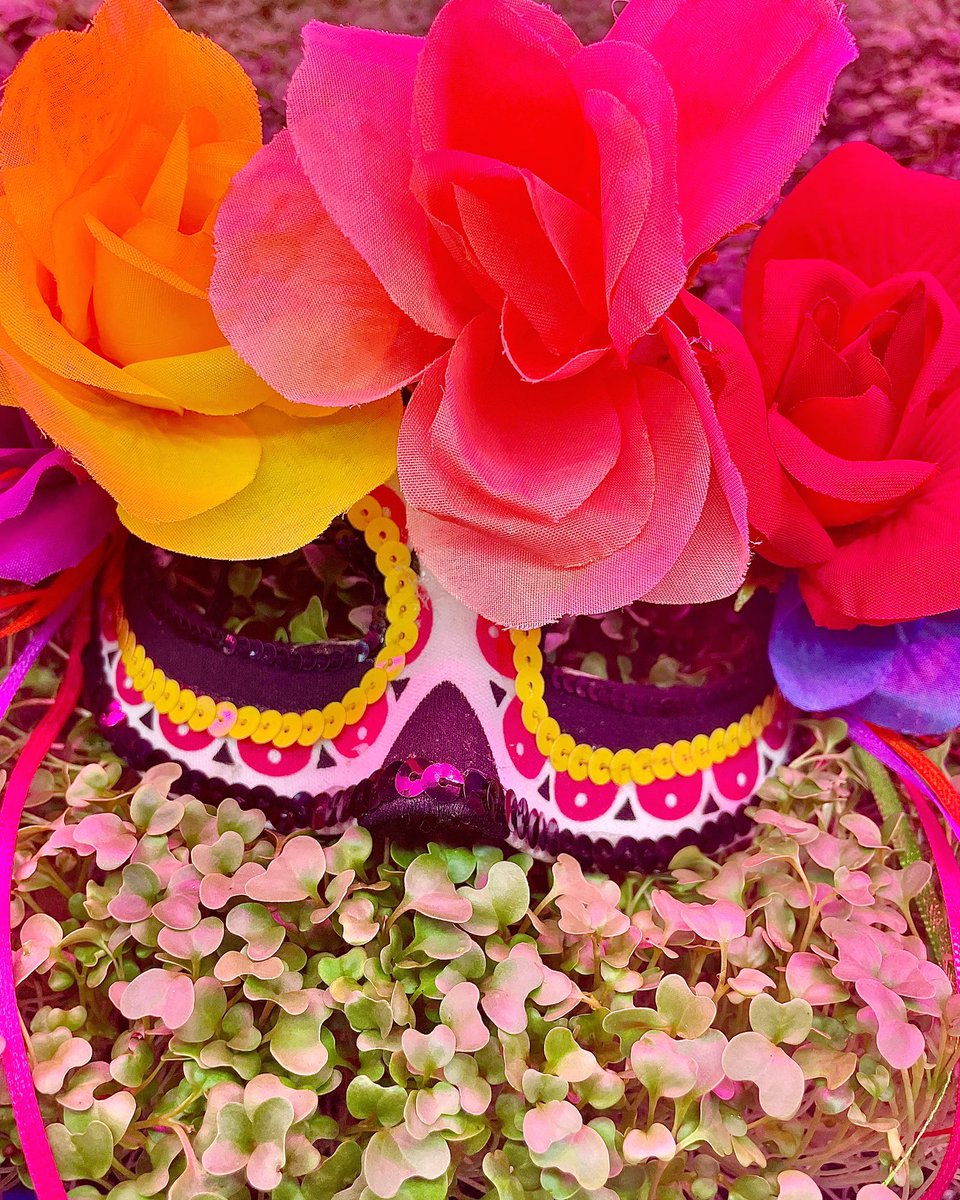 FreshGreens2Go's tweet photo. In honor to all the loved ones who have passed, we celebrate Day of the Dead. #dialosmuertos https://t.co/x8iOD9G5lJ