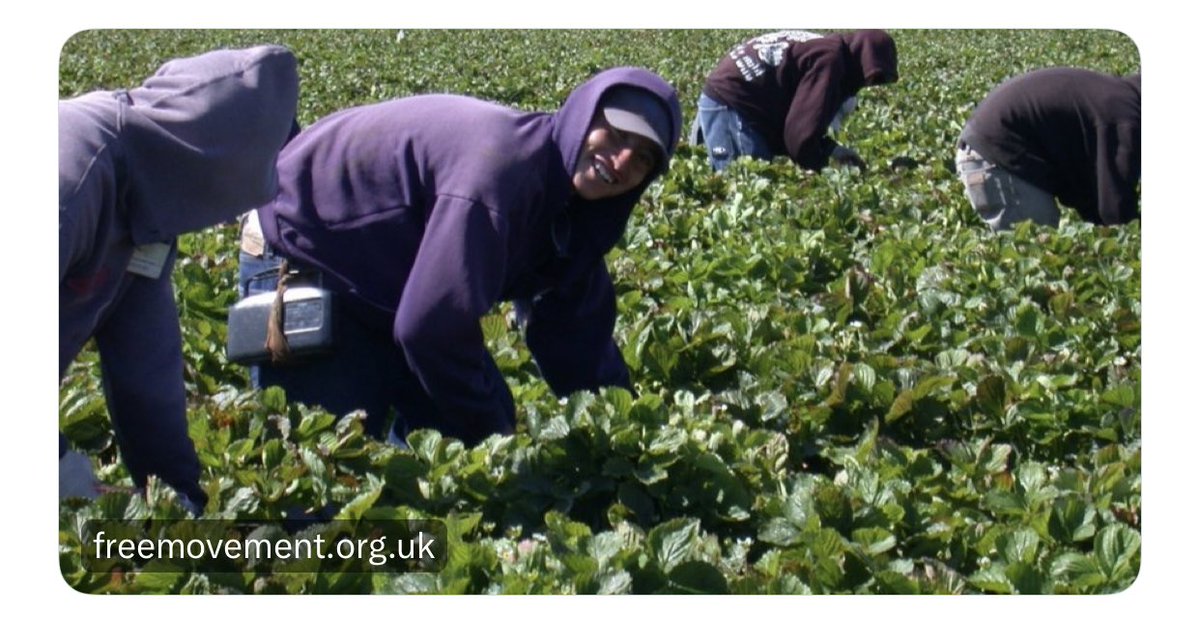 This week’s MUST listen is @ATLEUnit’s brilliant Jamila Duncan-Bosu on @ColinYeo1 Free Movement podcast discussing Labour exploitation and the seasonal agricultural workers scheme….. #SeasonalWorkers #MigrantWorkers #LabourExploitation