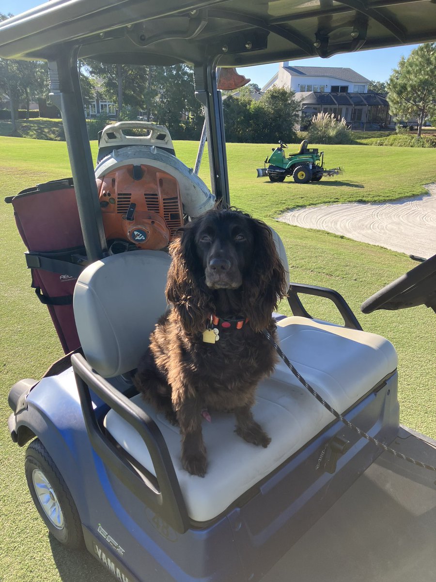 Tiger Point Agronomy tweet media