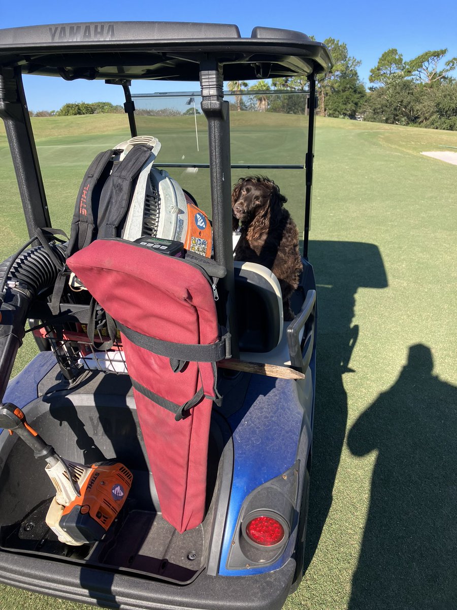 Tiger Point Agronomy tweet media