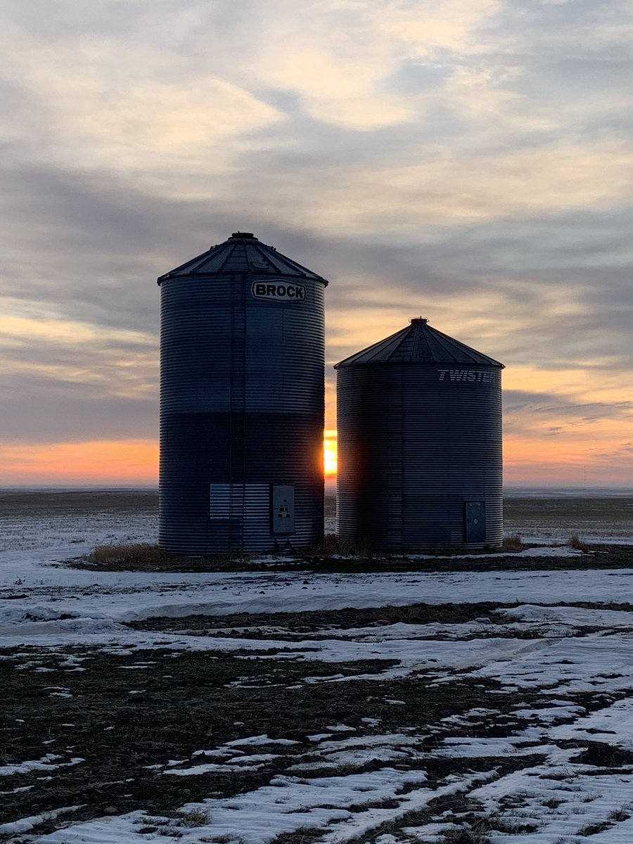 Scott Meers tweet media