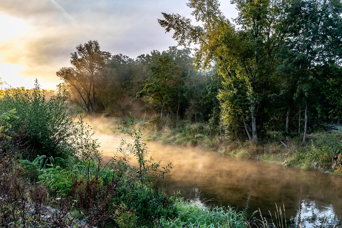 CanonDEU's tweet photo. Beim letzten #WildlifeWednesday habt ihr euch mal wieder selbst übertroffen und uns mit euren Fotos im Licht der aufgehenden Sonne verzaubert!🌄✨

Vielen herzlichen Dank an Chantal Anders, Michelle Gutjahr Matrai, Alina Gattermann und Stephan Wirwalski für die Bilder!📷🎉 https://t.co/4RuvjgjSxB