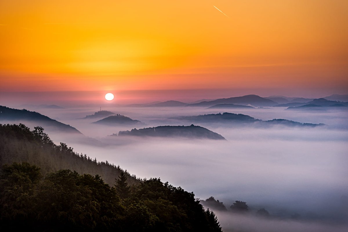 Beim letzten #WildlifeWednesday habt ihr euch mal wieder selbst übertroffen und uns mit euren Fotos im Licht der aufgehenden Sonne verzaubert!🌄✨

Vielen herzlichen Dank an Chantal Anders, Michelle Gutjahr Matrai, Alina Gattermann und Stephan Wirwalski für die Bilder!📷🎉