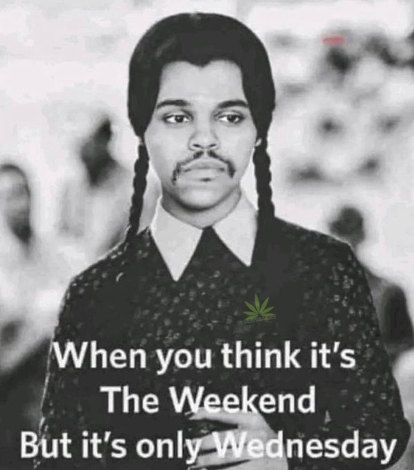 PotsmartTweets's tweet photo. 😕 

#CannabisCommunity #cannabisculture #WeedLife #weedsmokers #canadiancannabis #StonerFam #Weedmob #weedsmokers  #Mmemberville https://t.co/WScJCyAGX1