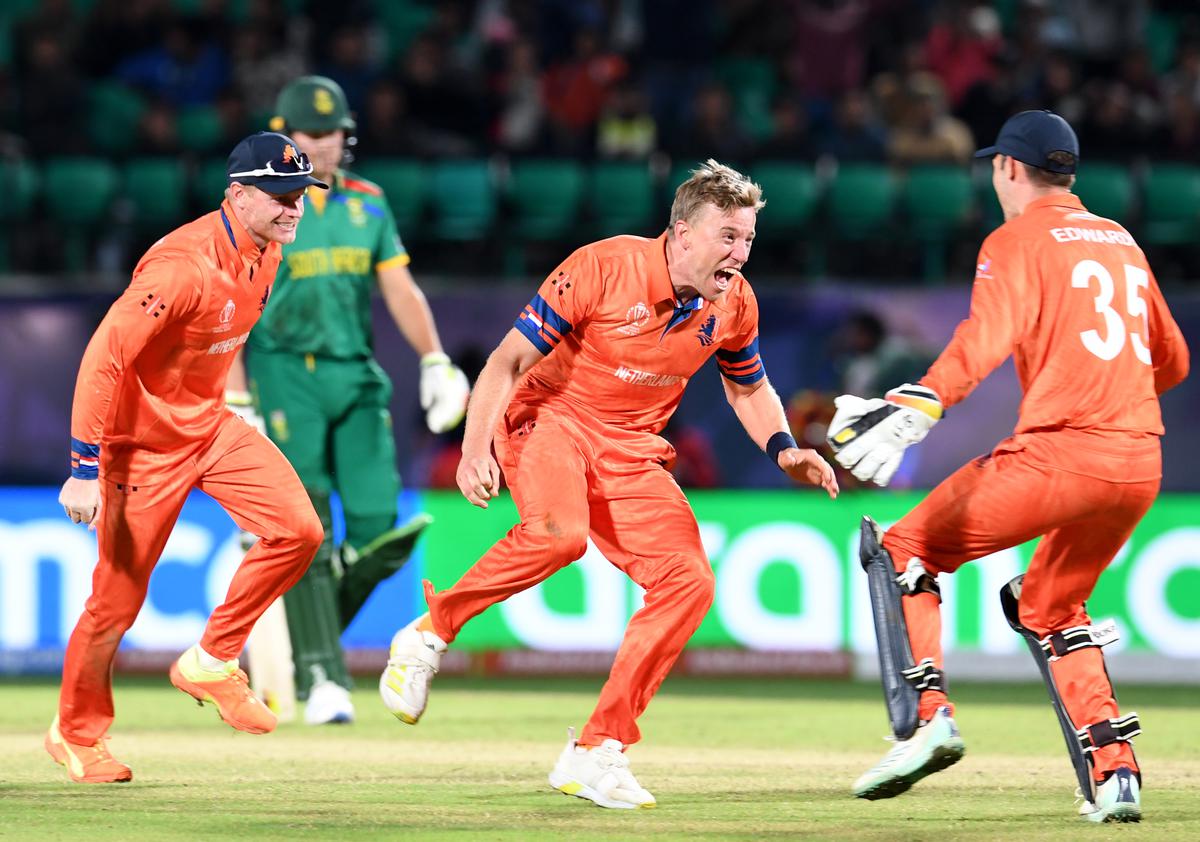 South Africa only bows to it's favourite opponent, i.e. Netherland #icccricketworldcup2023 #icct20worldcup2022 #SAvNED #SAvNZ #INDvSA