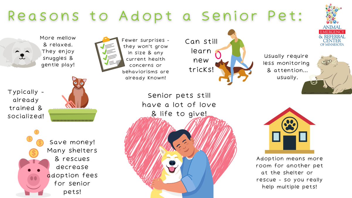 November is #AdoptaSeniorPetMonth! Check out our graphic for a few reasons why we think it’s a great idea to go to your local shelter/rescue & adopt a senior pet!
Let's see a photo of your senior pet in the comments!
#seniorpets #pets