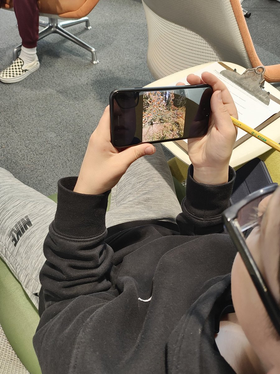 Amy Infanzon tweet media