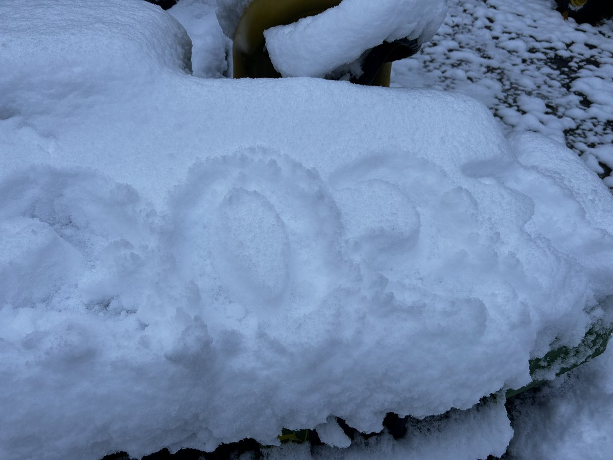 greensgurl's tweet image. Happy snow boating season.