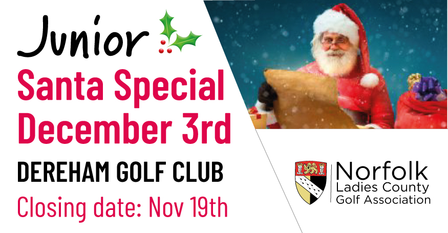 Norfolk Ladies Golf tweet media