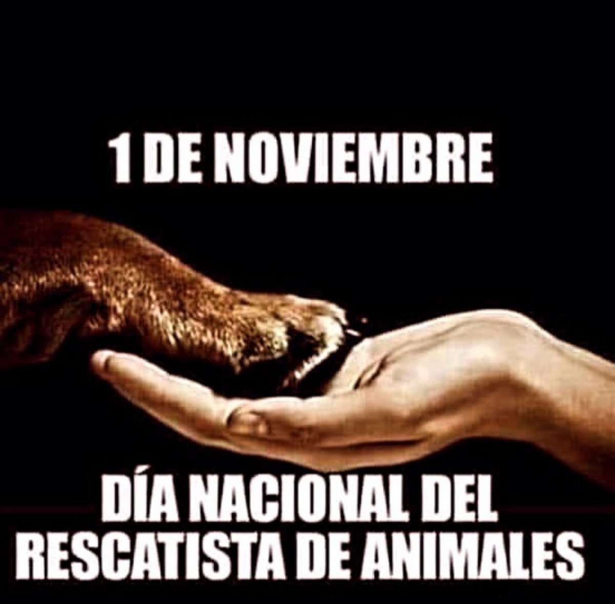 gabymenta's tweet photo. VAMOS GENTE #AYUDEMOS Y #DONEMOS … ❤️❤️❤️❤️❤️ https://t.co/khT6tAfdj6