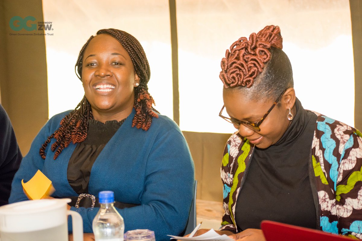 Farirai Mudiwa tweet media