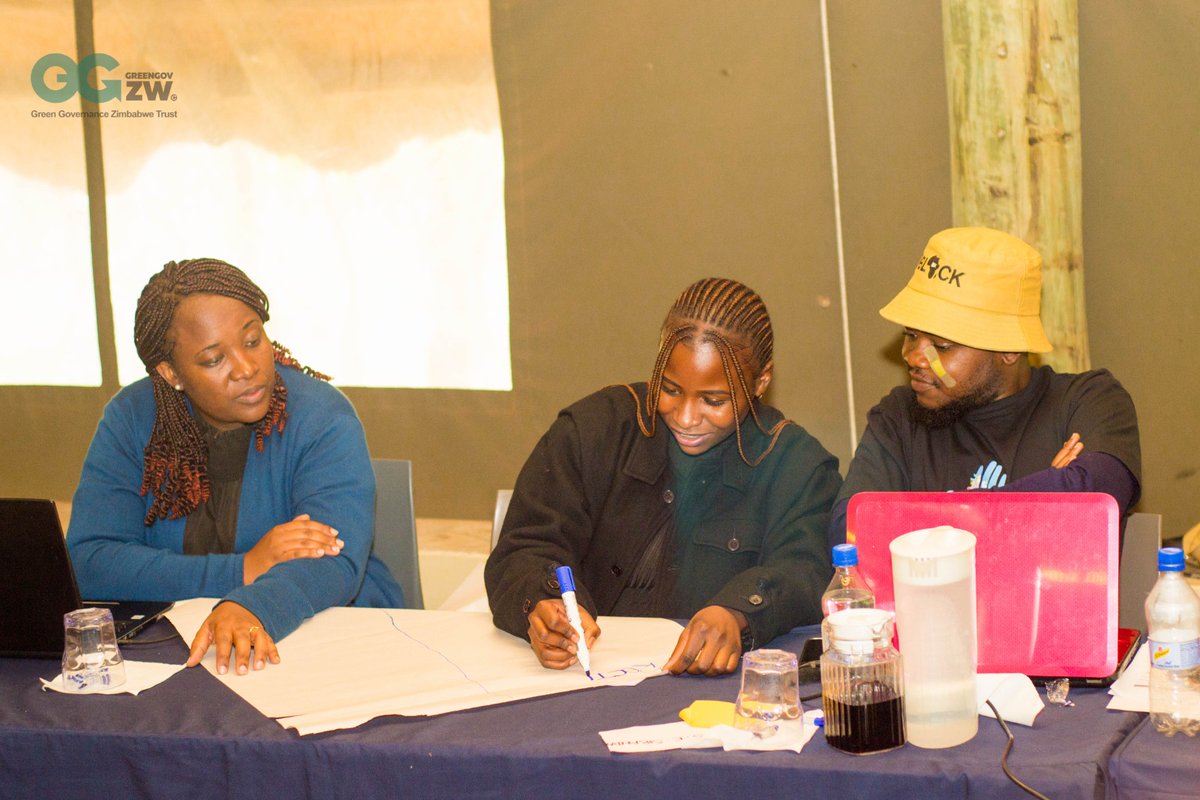 Farirai Mudiwa tweet media