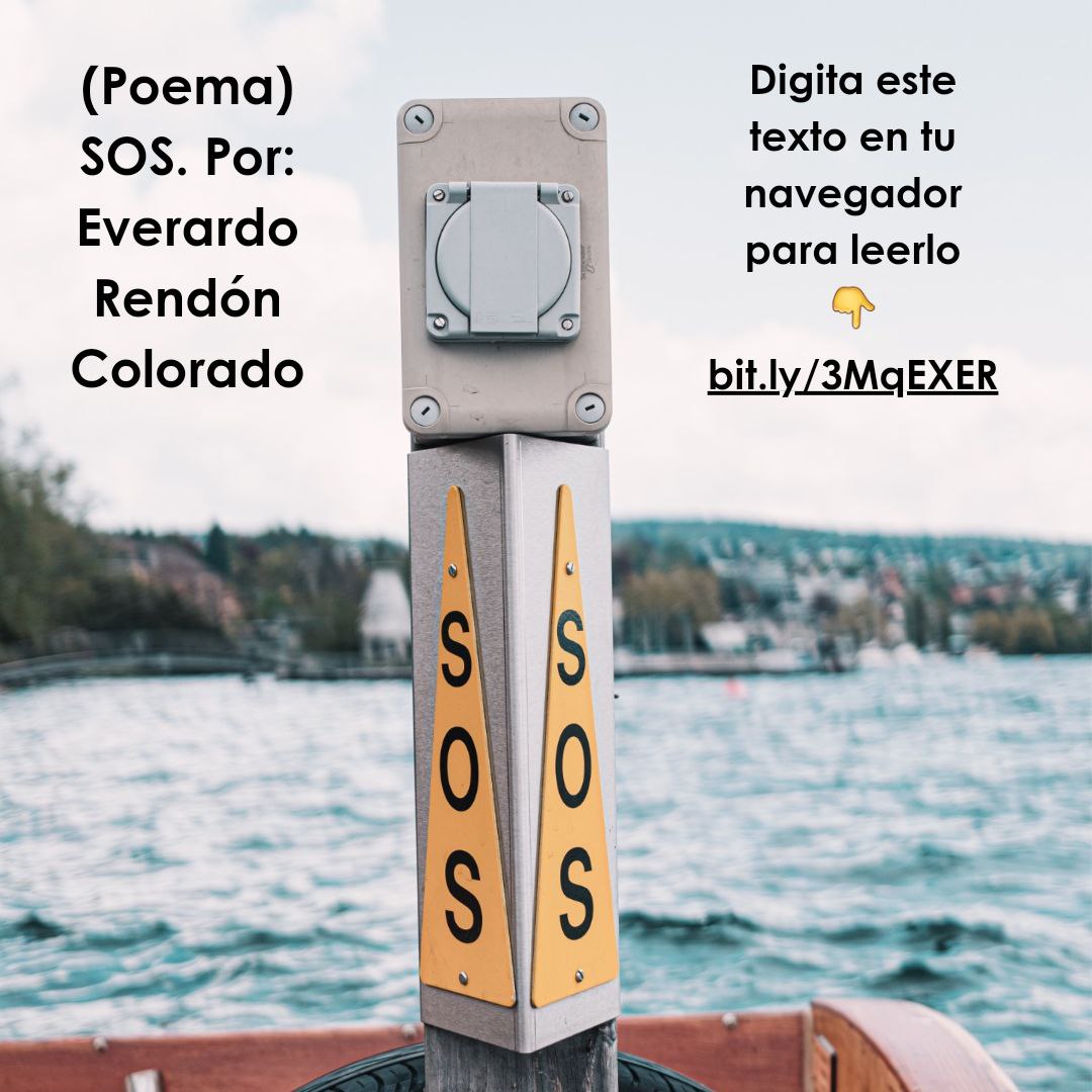 Editorial Java tweet media