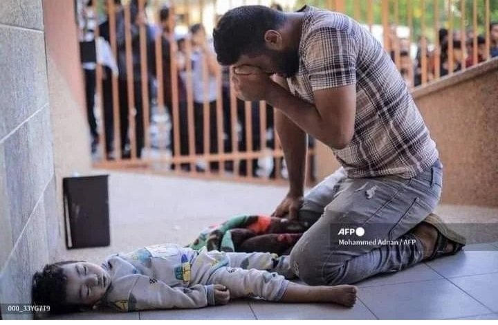 saraadim0's tweet photo. Palestinian Ministry of Health: The number of martyrs in the Gaza Strip due to the Israeli occupation invasion has risen to 8,005, including 3,342 children, 2,062 girls, and 460 elderly people To help the Palestinian people, donation now🙏💔
https://t.co/fsKQ8OVIfz https://t.co/xmpADDR32H