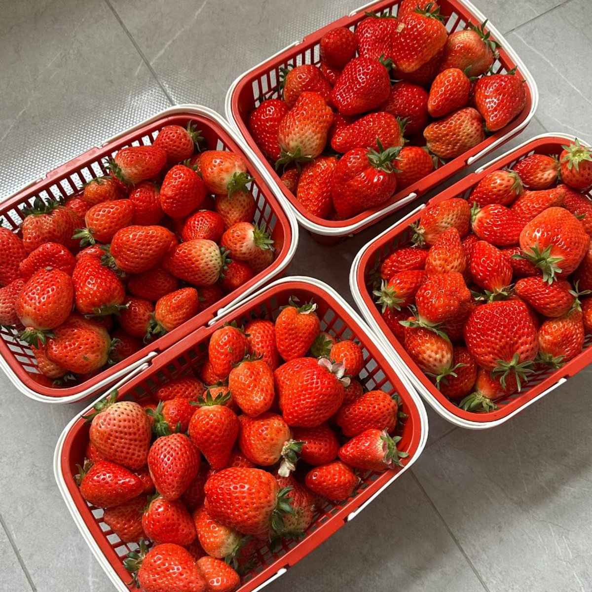 rem49er's tweet image. I like strawberries because they are low in calories and high in fiber, which can help manage my weight by promoting a feeling of fullness.