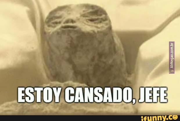PabloDa_BB's tweet photo. @ExatlonMx @VengaLaAlegria la mati, el pato, heliud y todos esos weyes que han salido en las 188163927263 temporadas de esa mmda. https://t.co/yq8vycKBP4