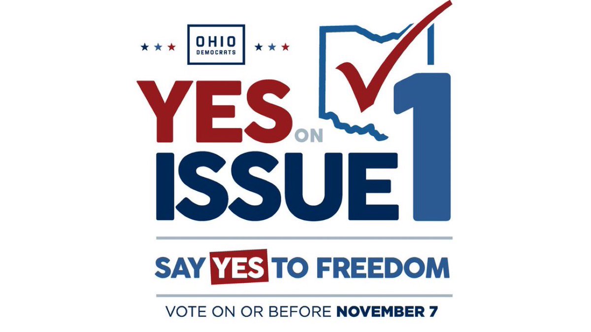 It’s time to make a plan to vote, Ohio! 
Early voting is happening now.
We have one week to demonstrate to the Republicans in Columbus that Ohioans value their rights and won’t stand for them to be taken away!
#YESONOHIO1 #DemCastOH #VoteBlueToProtectYourRights