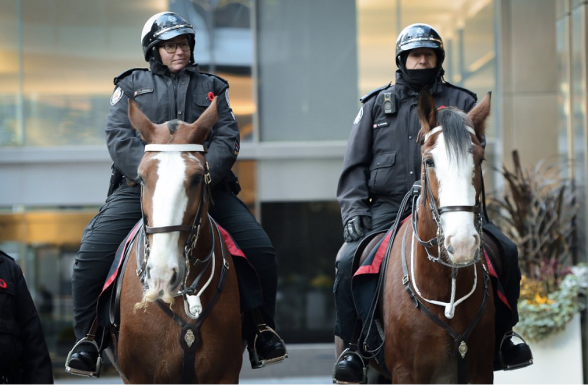 TPSMounted's tweet image. #Movemeber has officially kicked off #PHDraper &amp;amp; his bud #PHRalph attended the launch this morning with our Chief and many members who take part in this renowned charity. Join us raising funds in support of #menshealth #CancerAwareness #mentalhealth scan the QR code for details!