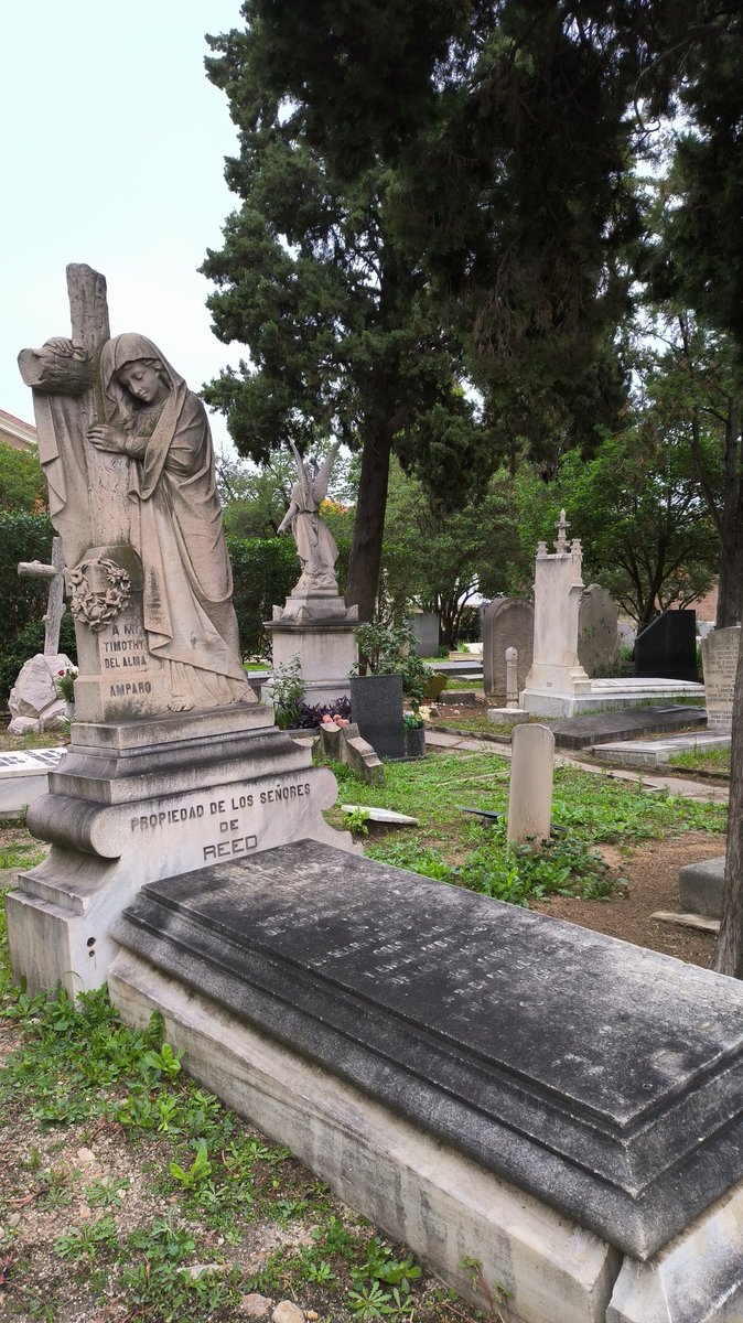 Virginia Mª Guerrero tweet media