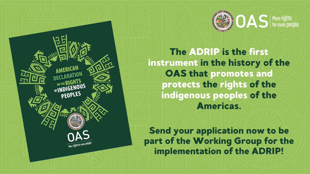 OAS_Rights's tweet photo. In order to ensure more equitable geographical representation, the deadline for legitimate #IndigenousPeoples organizations to send their candidacies to be part of the #ADRIP Working Group has been extended until November 30, 2023
ℹ️ https://t.co/ZhWZh5gCvV https://t.co/UziNqBg0aS