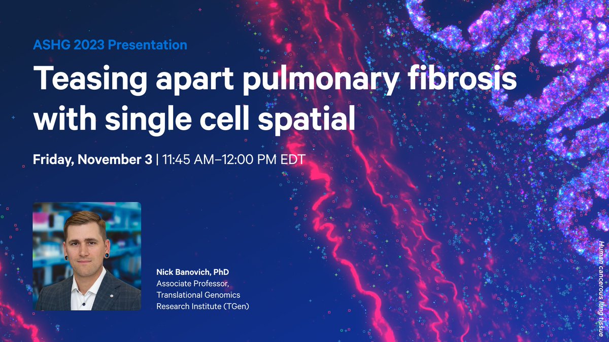 How can #singlecellspatial help tease apart alveolar niches in #pulmonaryfibrosis? Watch Annika Vannan’s (Banovich lab) #ASHG2023 talk, “Spatial transcriptomics analysis reveals pathology-specific alveolar niches in pulmonary fibrosis,” to find out.