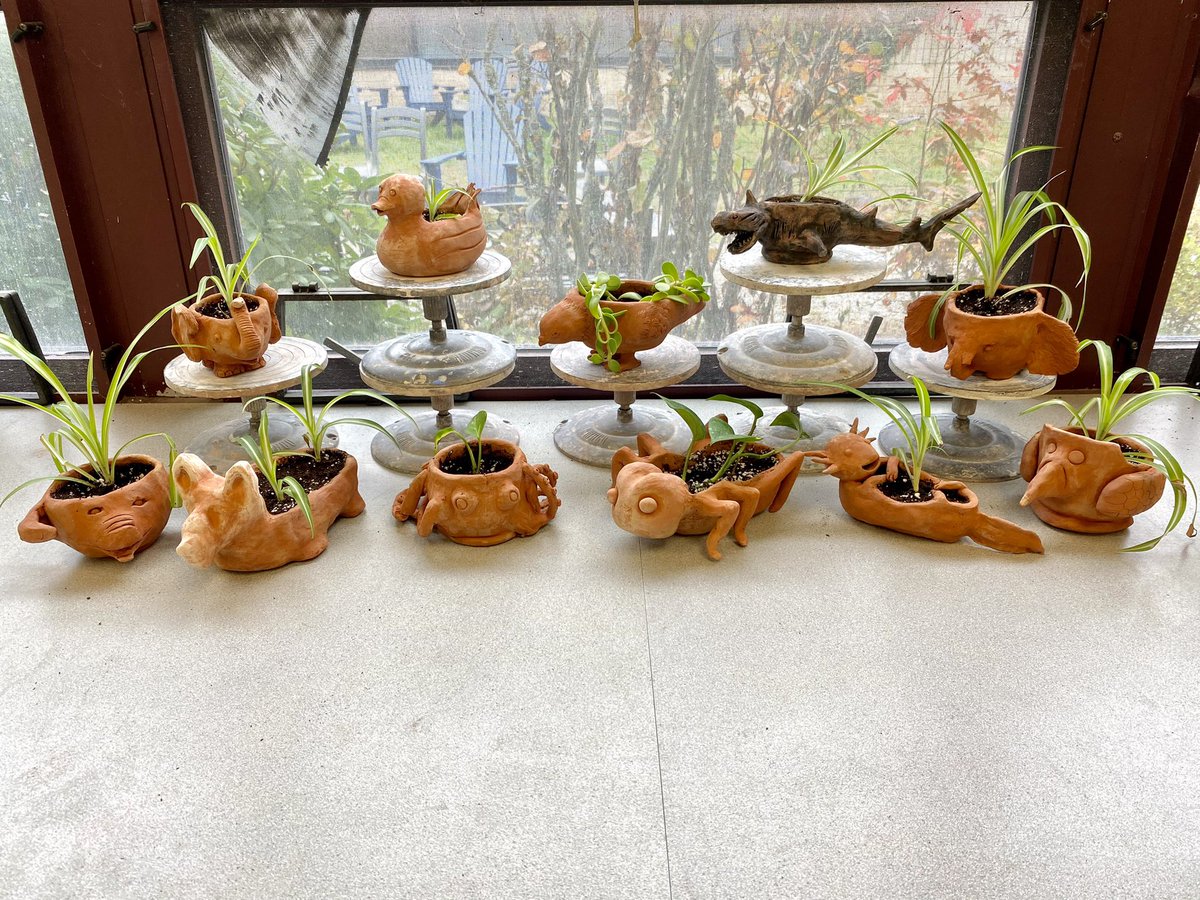 Katina Comery tweet media