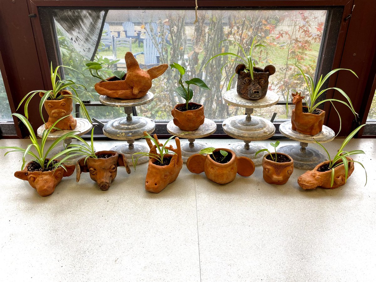 Katina Comery tweet media