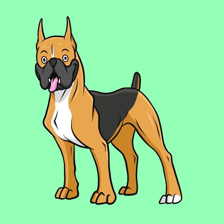 fakeyim Yaklasma tweet media