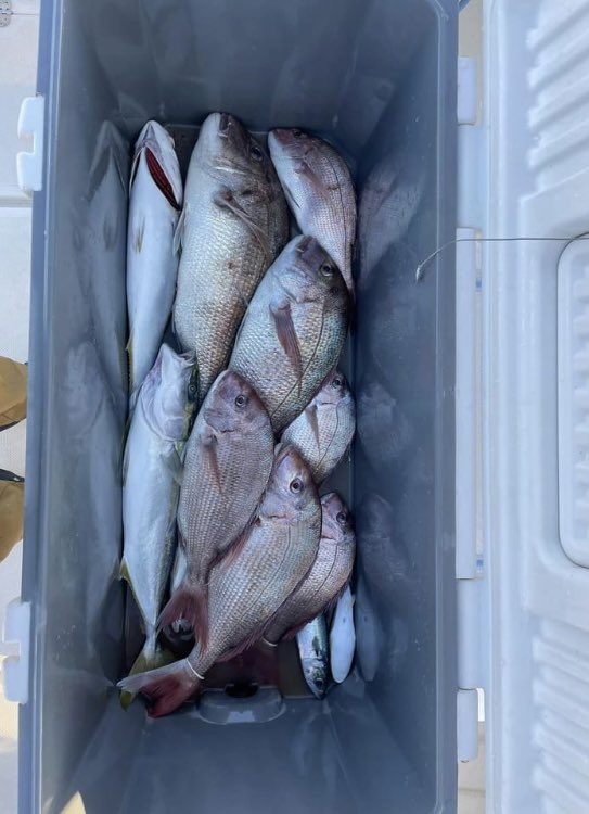 GoodgoOrg's tweet photo. 宮城GoodGo 28ft
11月1日

＃宮城　#東北　#GoodGo #釣船　＃グッドゴー
#fishing_Esperanza 
#タイラバ　＃ジギング　#塩釜　#wonmo #wonmomarine ＃タイ https://t.co/FAV1WsmpFU