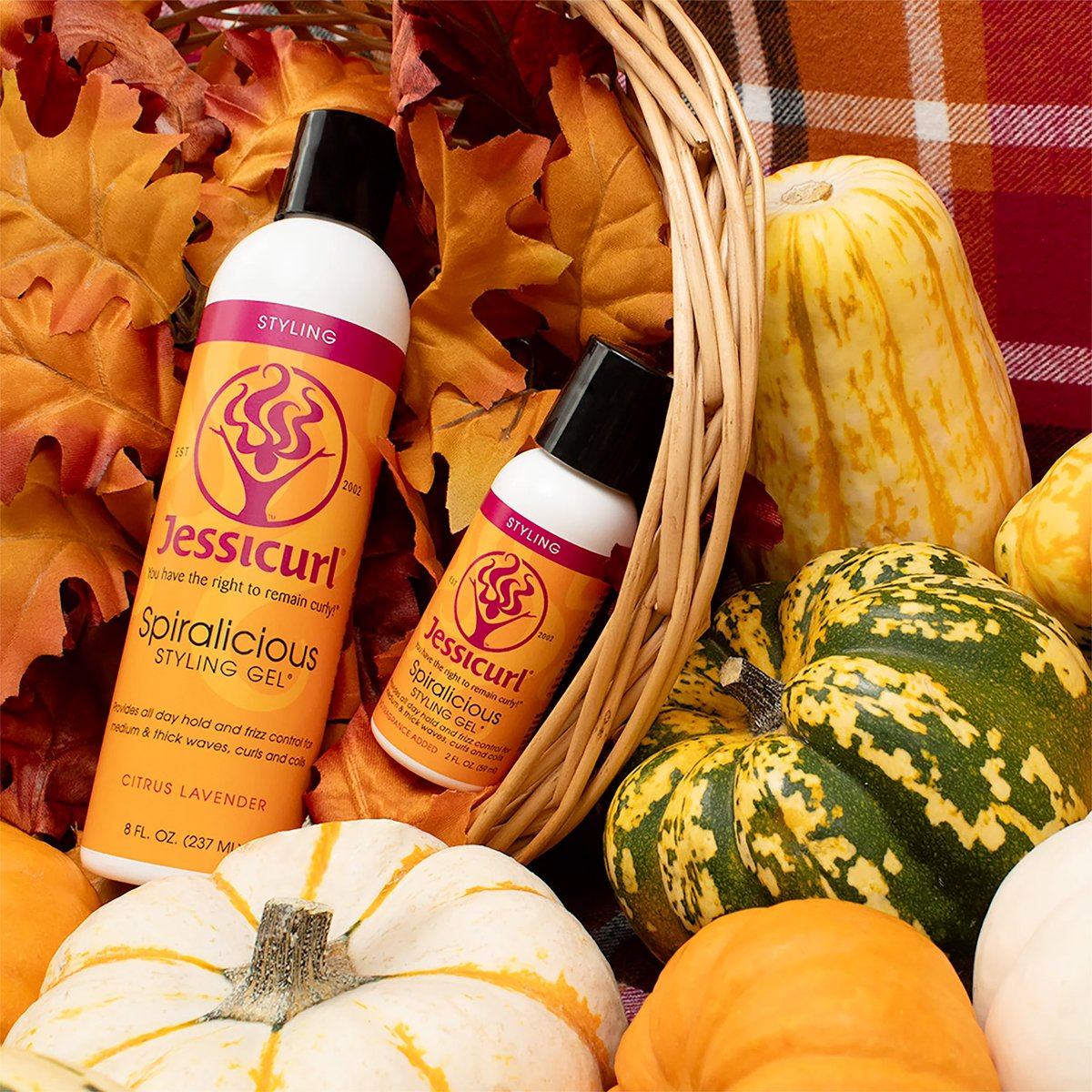 ebove & beyond, inc. tweet media