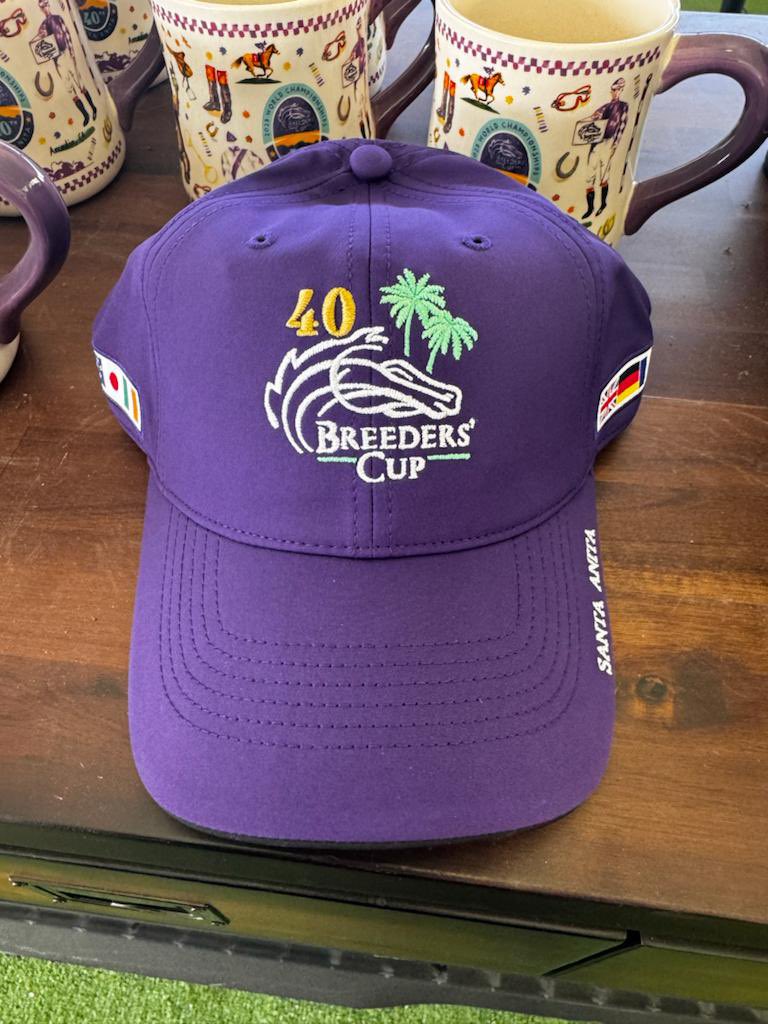 Win this @BreedersCup official cap thanks to this week’s host @jess_stafford_ from @santaanitapark for @FanDuelTV To enter: COMMENT which European contender you think will win at #BreedersCup LIKE & SHARE this post FOLLOW @ThoroughbrdTale #ThoroughbredTales Correct entries…