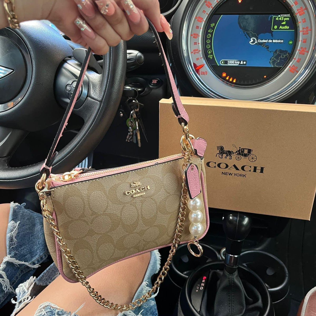 elayshia_'s tweet photo. These COACH mini handbags are IT 😍🩷 https://t.co/rpjGWs81CZ