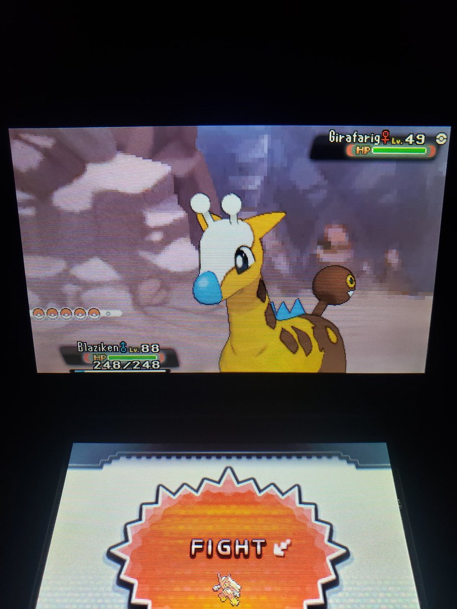TwiztidPikachu's tweet image. Ayyyee. 🌟 Shiny Girafarig 🌟  only took 20 DexNav searches with no shiny charm. #omegaruby #pokémon #pokemonomegaruby #pokemonalphasapphire #alphasapphire #pokémoncommunity #pokemontogether #nintendo #nintendo3DS #nintendods #shinypokemon #shinypokemonhunting #twitchtv #retweet