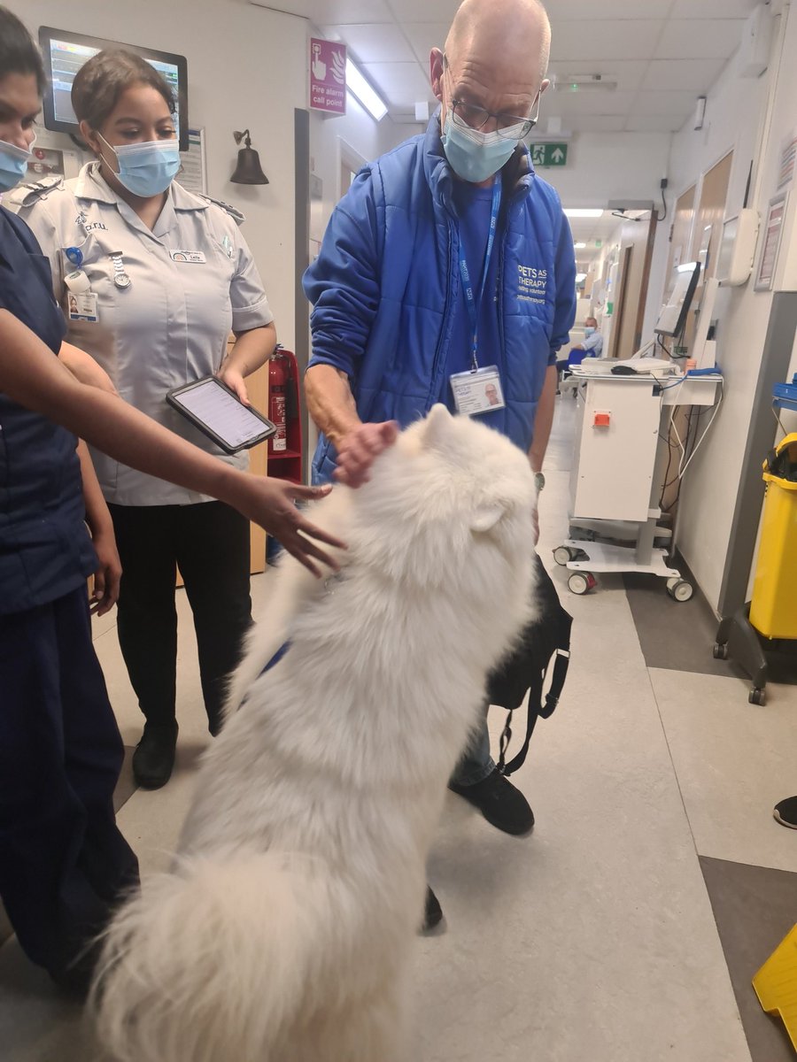 Silpa Dhaneesh (@dhaneeshsilpa) on Twitter photo He brought a smile on everyones face๐. " Wellbeing week" @NHSHarlow . Thank you <a href="/PahVolunteers/">PAH Volunteers</a> for your support today.
<a href="/Gsep_/">Giuseppe Labriola FRSA RN RM (He/Him)</a>
<a href="/sharon_mcnally/">Sharon mcnally</a>
<a href="/SHaWPAH1/">Health and Wellbeing@PAHT</a>
@hhl_nhs He brought a smile on everyones face๐. " Wellbeing week" @NHSHarlow . Thank you <a href="/PahVolunteers/">PAH Volunteers</a> for your support today.
<a href="/Gsep_/">Giuseppe Labriola FRSA RN RM (He/Him)</a>
<a href="/sharon_mcnally/">Sharon mcnally</a>
<a href="/SHaWPAH1/">Health and Wellbeing@PAHT</a>
@hhl_nhs
