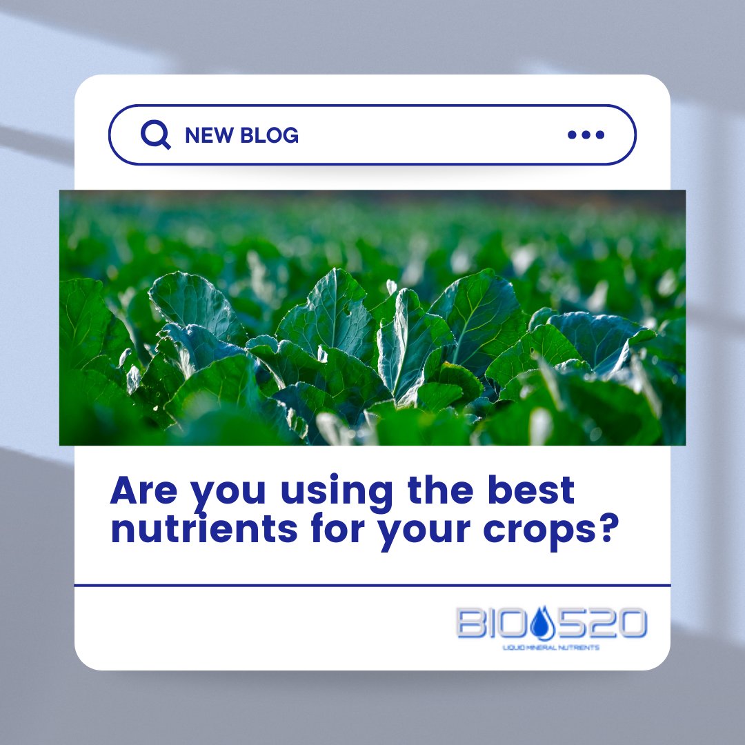 Are you sure you’re giving the best nutrients to your plants? 🤔 Check out this blog and learn!💚💙🤝 

#BI0520 #ExploreWithUs #Sustainablefarming #JoinTheJourney #liquidmineralnutrients #nutrients #plantnutrients #BeforeandAfter #BIO520 #Nutrientsforplants #plantnutrients