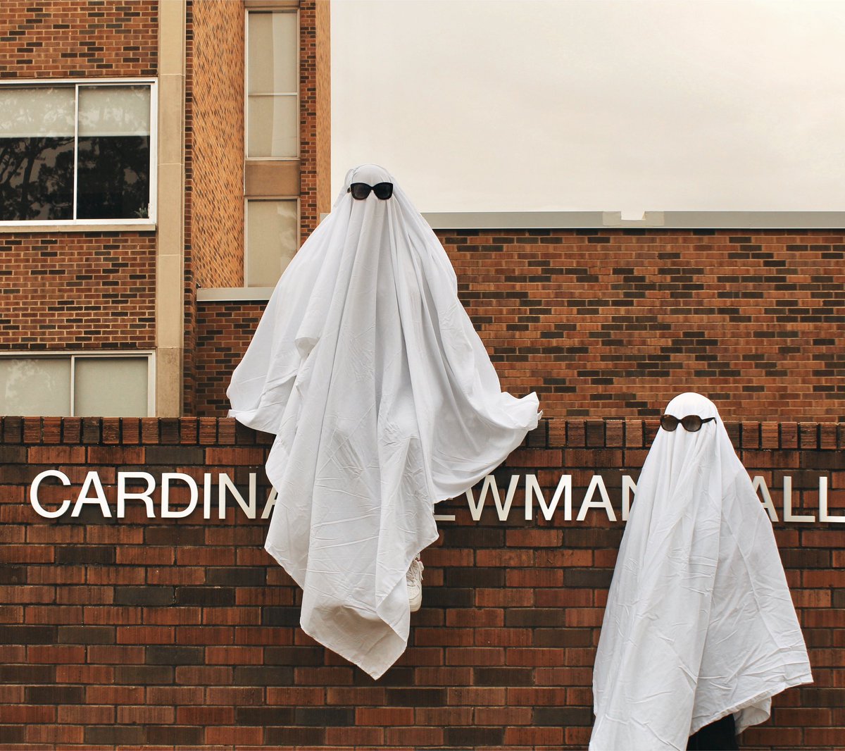 commlions's tweet photo. Spotted on Halloween: Ghosts in our department. Is Cardinal Newman Hall haunted? 👀 #Ghostface #haunted #SpookySzn #lionup https://t.co/0InZpiqQG8