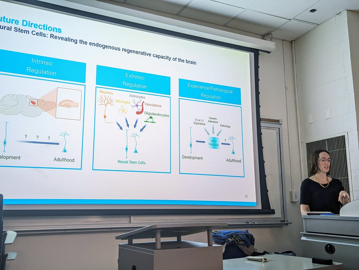 Wonderful hosting @AllisonMBond from @IcahnMountSinai @SinaiBrain @SinaiStemCell today. Amazing talk on neuronal stem cells, their embryonic origin, their transition to adult state, and the mechanism underlying the transition.