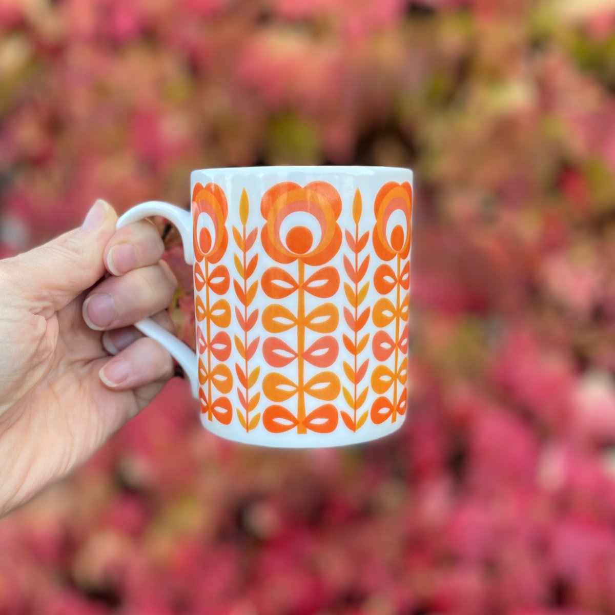 I’m loving all the beautiful autumn colours everywhere, I’m hoping all the leaves don’t disappear in #Stormciaran 🍂

Here’s my orange mug design 🧡 Available in my shop ✨

#HandmadeHour #MalvernHillsHour  #midlandshour