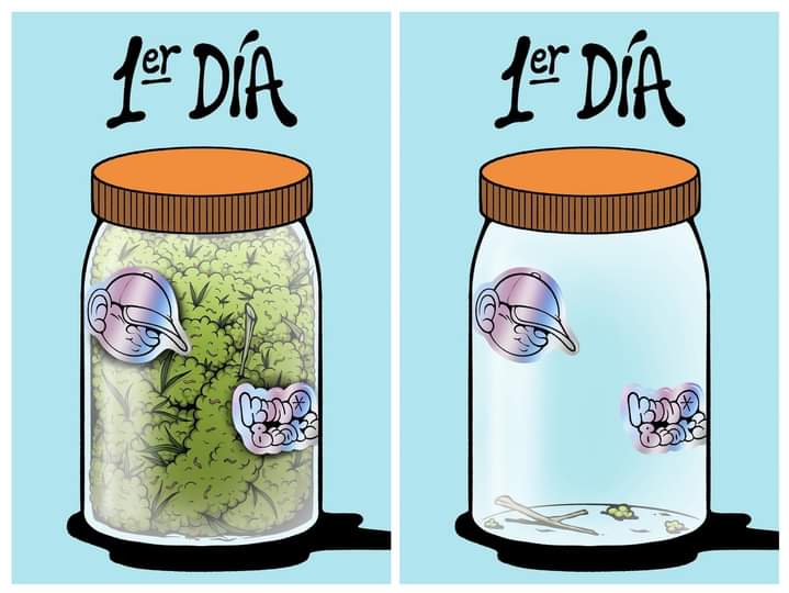 Elparaguayo1231's tweet photo. Literalmente https://t.co/LQaxO4Xqd8