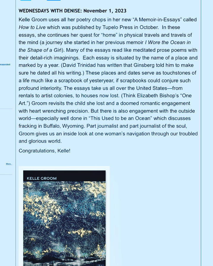 all my thanks to Denise Duhamel for her beautiful review of HOW TO LIVE: A Memoir in Essays, up today on The Best American Poetry blog: blog.bestamericanpoetry.com/the_best_ameri… #essays #memoir #poetswritingmemoir #review #tupelopress @tupelopress