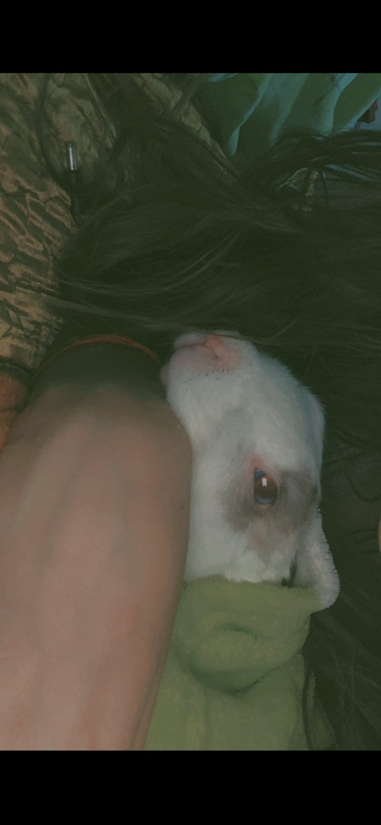AliLibrana's tweet photo. Enana 🩷🐇no me imagino llegar a Perú y no verte. Te voy a extrañar toda la vida. 😭 gracias por todo compañera. 27/10/2023 🕊️ https://t.co/bMtIT5GpLU