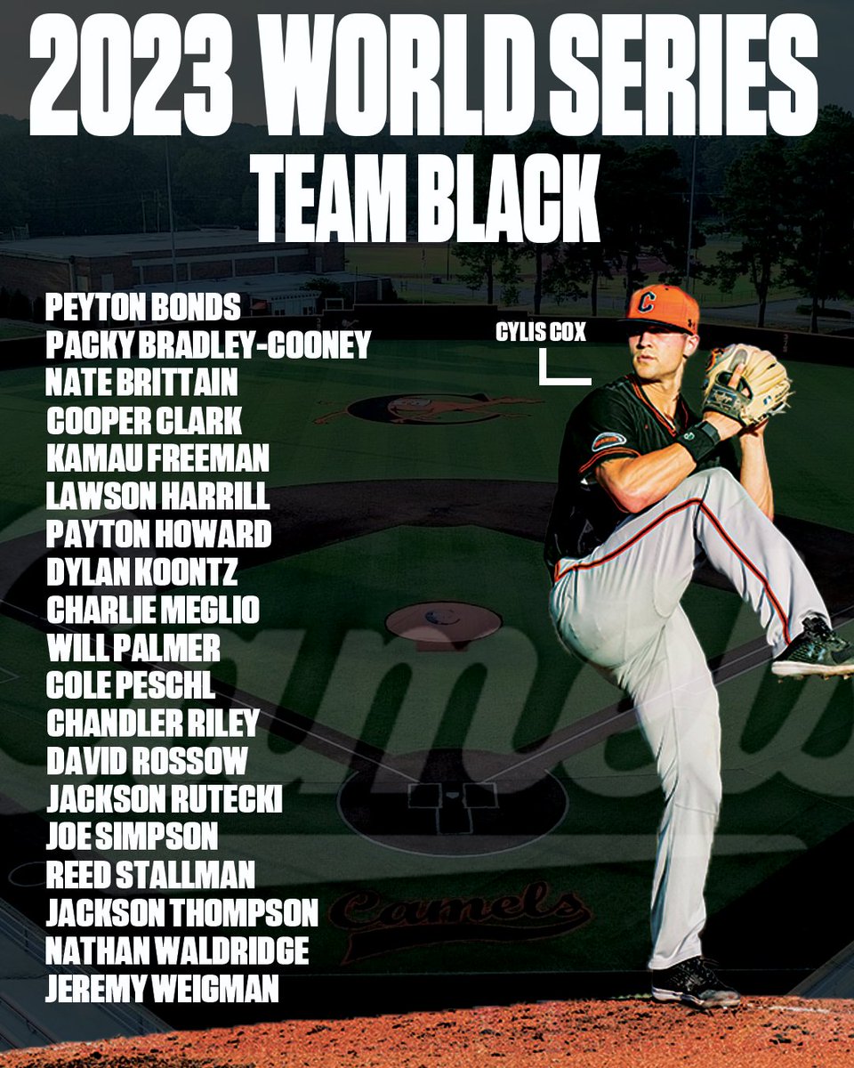 Campbell Baseball tweet media