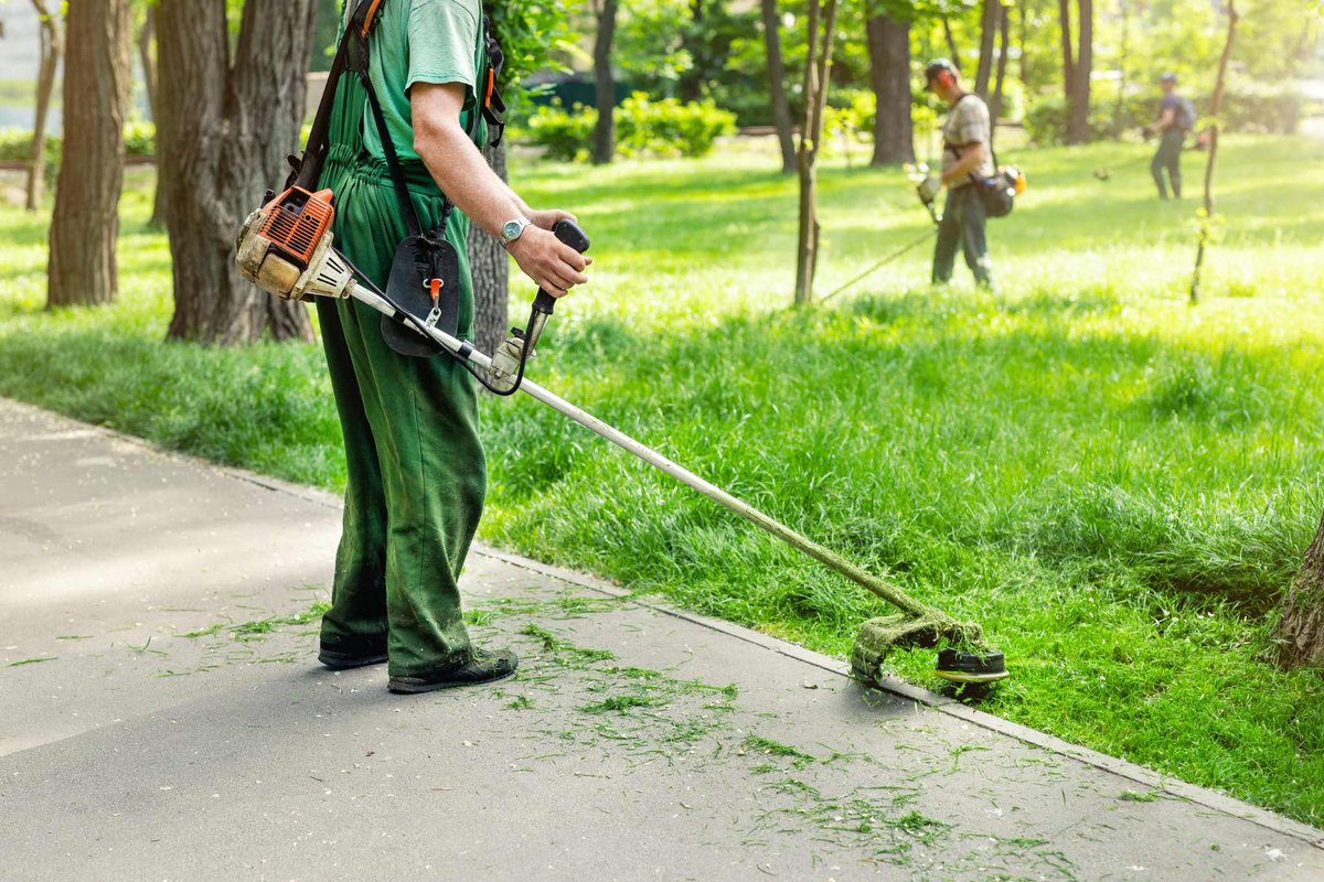 BoschLandscape's tweet photo. Your Vision, Our Craft: Bosch’s Landscaping tailors landscapes to your story. Experience the transformation. #TailoredDesign #OutdoorEscape
https://t.co/DvyY0PQcjR https://t.co/wRTgyJjKzj