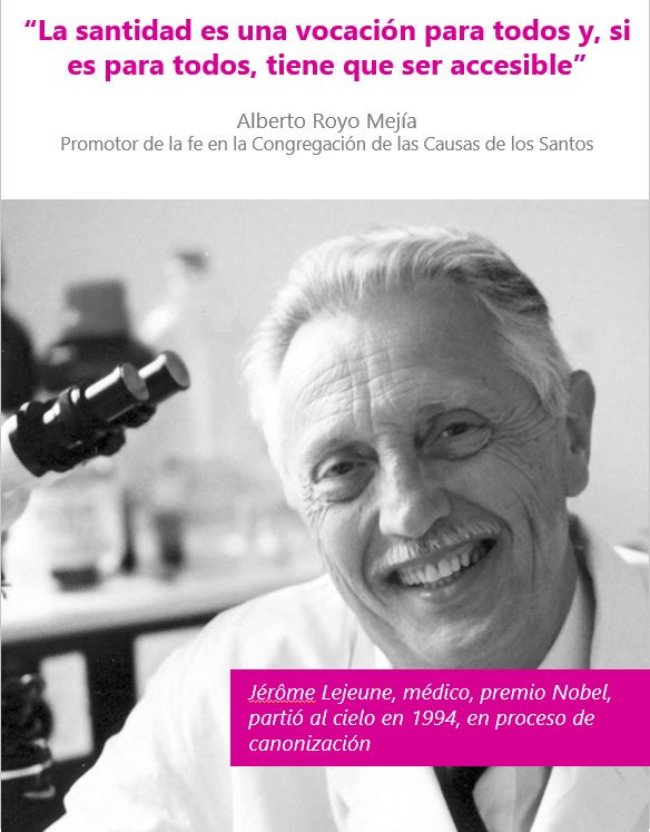 La santidad es “hacer el bien cada mañana”… poco más