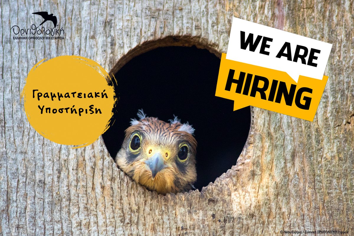 ornithologiki's tweet image. 📣 Προκήρυξη Θέσης: Γραμματειακή Υποστήριξη
Η #ΟΡΝΙΘΟΛΟΓΙΚΗ αναζητά συνεργάτη/ιδα, μερικής απασχόλησης, για την γραμματειακή υποστήριξη των κεντρικών γραφείων της Οργάνωσης στην Αθήνα. 
📅 Αποδοχή αιτήσεων έως και 20/11/2023
ℹ  Πληροφορίες: bit.ly/3FHtP2M #wearehiring